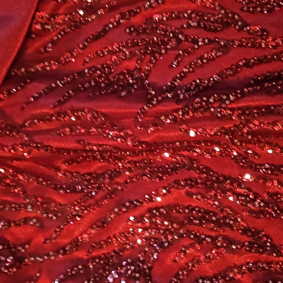 Stunning gown! - Picture 5 of 14